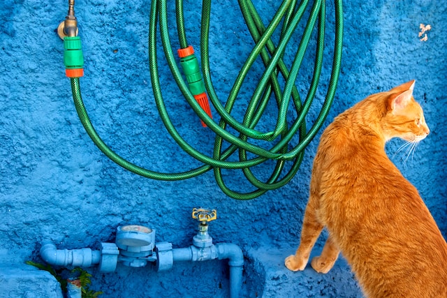 leaking hose bip